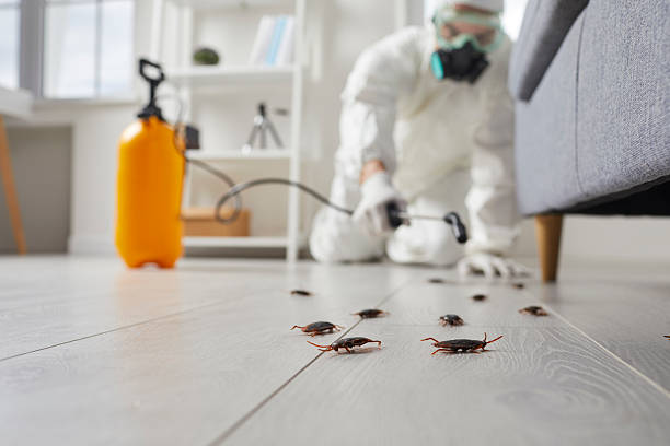 Post-Treatment Bed Bug Interceptor Monitoring in Pike Road