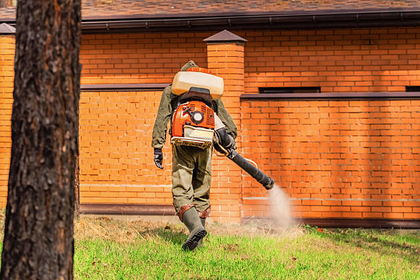 Bed Bug Clearance Verification and Documentation in Pike Road